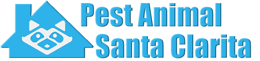 Santa Clarita Wildlife and Animal Removal